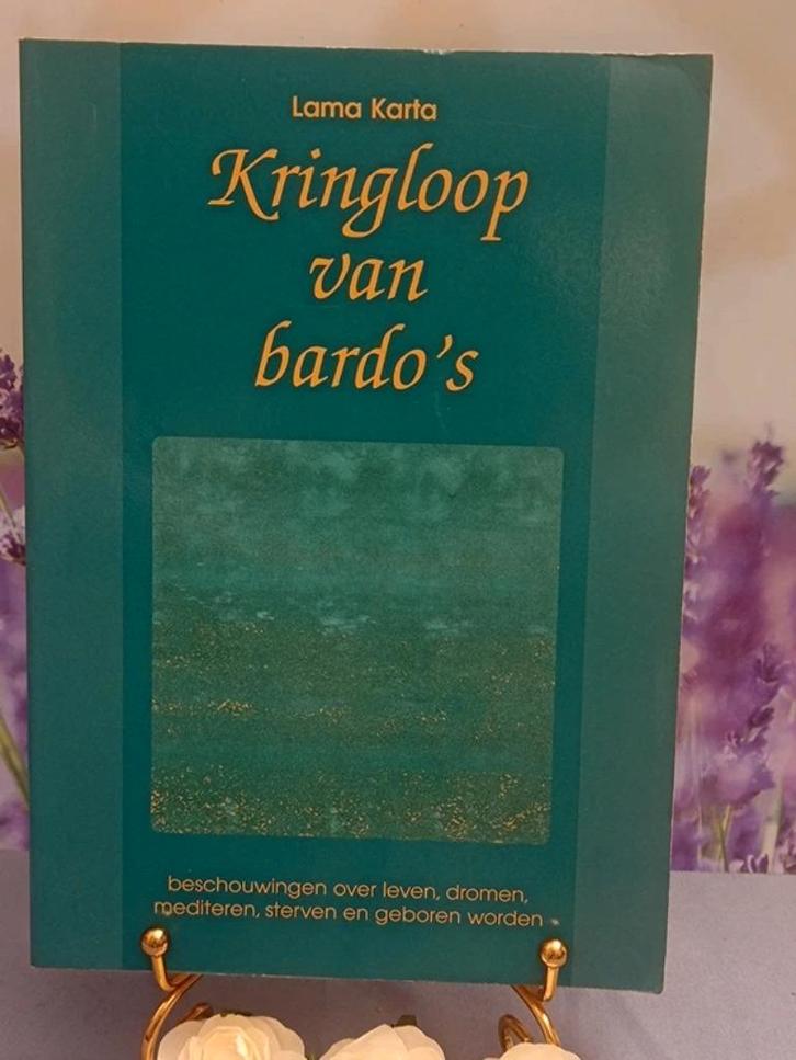 Kringloop van bardo's, Boeken, Esoterie en Spiritualiteit, Gelezen, Ophalen of Verzenden