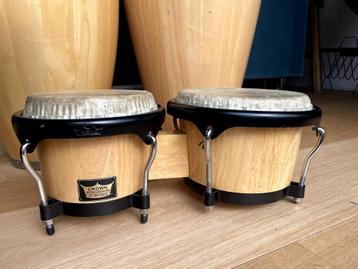 Crown percussion bongo's