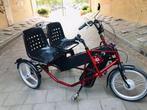 Electrische Duofiets PF Mobility te koop., Fietsen en Brommers, Ophalen of Verzenden, Gebruikt