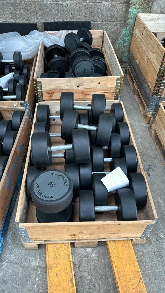 Lot d’haltères TechnoGym de 10 à 50 KG, Sport en Fitness, Fitnessmaterialen, Gebruikt, Dumbbell, Armen, Benen, Borst, Buik, Rug