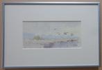 AD MAAS / VLIEGENDE EENDEN / ORIGINEEL / 23x34cm / KADER SIG, Ophalen of Verzenden