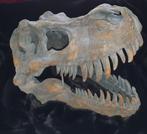 dinosauris beeld Tyrannosaurus Rex Skull Dino Nemesis, Crâne, Autres, Enlèvement ou Envoi, Neuf