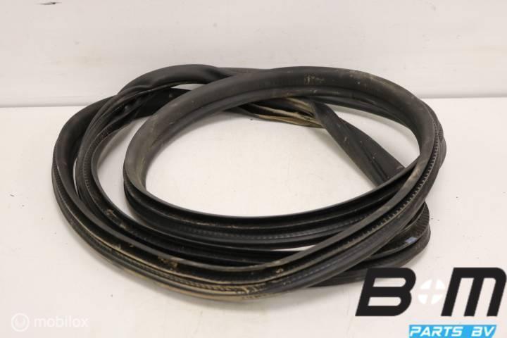 Portierrubber rechtsvoor Skoda Fabia 3 6V0867366D, Auto-onderdelen, Interieur en Bekleding, Gebruikt