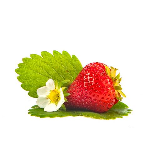 groot vruchtige aardbei, Tuin en Terras, Planten | Tuinplanten, Ophalen