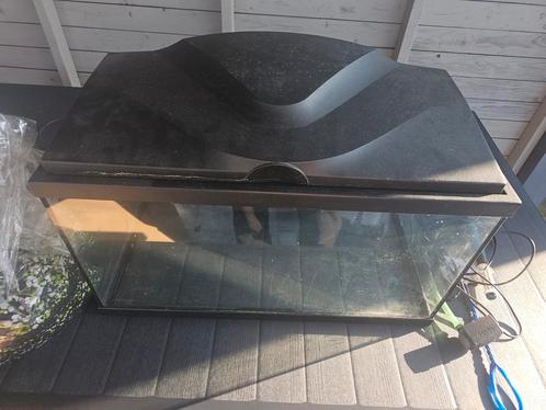 Aquarium 60l met toebehoren, Dieren en Toebehoren, Vissen | Aquaria en Toebehoren, Gebruikt, Leeg aquarium, Ophalen of Verzenden