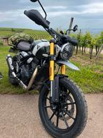 Triumph 400 x Scambler - 2024 - 600 kms - kaki, Particulier, 400 cm³, 1 cylindre