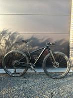 Beachbike Carbon Small, Fietsen en Brommers, Ophalen