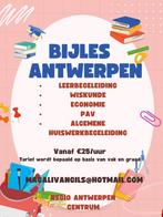 Bijles wiskunde, economie, algemene begeleiding, Diensten en Vakmensen, Bijles, Privé-les en Taalles