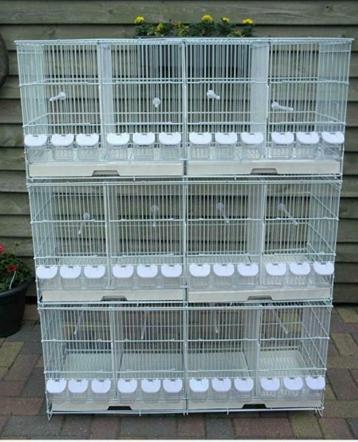 Cages d'élevage/d'élevage, Envoi, Neuf, Métal, Cage d'élevage