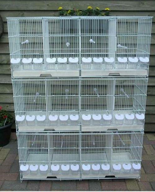 Kweek/Broedkooien, Dieren en Toebehoren, Vogels | Hokken en Kooien, Nieuw, Broedkooi of Kweekkooi, Metaal, Verzenden