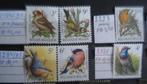 BELGIË 2347 **/mnh André BUZIN, Postzegels en Munten, Verzenden, Orginele gom, Postfris, Postfris