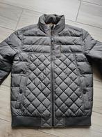 Pme legend cargo glider maat small, Vêtements | Hommes, Vestes | Hiver, Neuf, Enlèvement ou Envoi, Vert, PME Legend