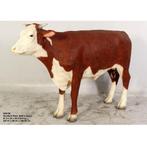 Hereford Bull – Stier beeld Breedte 207 cm, Nieuw, Ophalen
