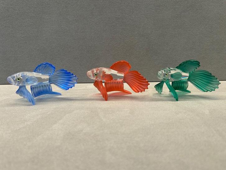 Swarovski Set van 3 Siamese vechtvisssen, Verzamelen, Swarovski, Nieuw, Figuurtje, Ophalen of Verzenden