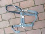 Halster befix maat Cob/full, Dieren en Toebehoren, Ophalen of Verzenden, Nieuw