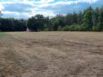 Weiland van 1ha in Lommel te huur., Dieren en Toebehoren, Stalling en Weidegang