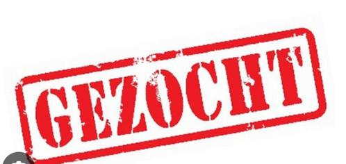 verzorgpaard gezocht!, Dieren en Toebehoren, Paarden