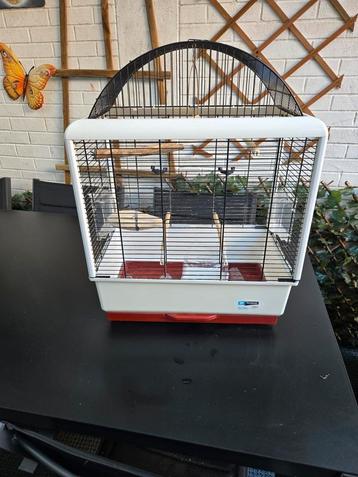 Cage pour oiseaux, Enlèvement, Utilisé, Cage à oiseaux