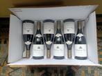 wijn Nuits St-George 1cru Chateau Gris 2019, Collections, Vins, France, Enlèvement, Vin rouge, Neuf