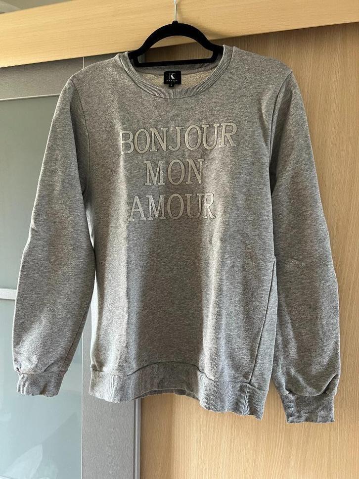Grijze sweater K-Design, Kleding | Dames, Truien en Vesten, Gedragen, Maat 42/44 (L), Grijs, Ophalen of Verzenden