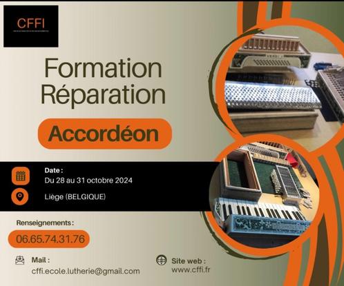 Formation à la réparation d'accordéon, Musique & Instruments, Instruments | Accessoires, Accordéon, Enlèvement