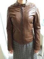 Prachtige leren jas van Oakwood, Kleding | Dames, Bruin, Nieuw, Ophalen of Verzenden, Oakwood