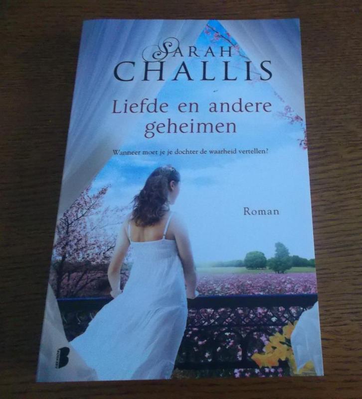 Liefde en andere geheimen / Sarah Challis, Livres, Romans, Comme neuf, Enlèvement
