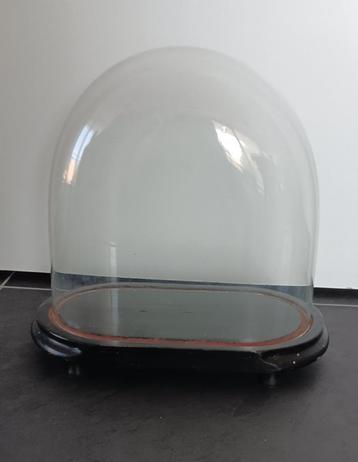 Glazen stolp 34 cm. op massief houten onderstel beschikbaar voor biedingen