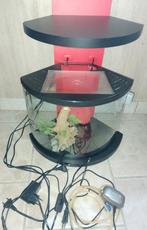 Te koop compleet panoramisch aquarium casi nieuw, Ophalen, Zo goed als nieuw, Leeg aquarium