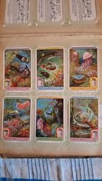Liebig S1133 serie Animaux marins, poissons et plantes, Verzamelen, Ophalen of Verzenden, Zo goed als nieuw