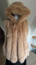 Magnifique veste à capuche sans manches, Vêtements | Femmes, Blousons sans Manches, Enlèvement ou Envoi, Neuf, Taille 36 (S), Autres couleurs