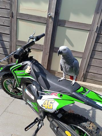 Elektrische kinder motor +helm. Dochter te groot ervoor. beschikbaar voor biedingen