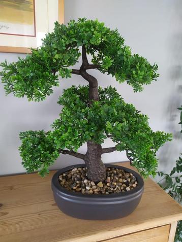 Kunstbonsai - Kunstplant Ceder Pine Podocarpus