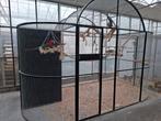 Voliere vogelkooien op maat, Dieren en Toebehoren, Ophalen of Verzenden, Nieuw, Aluminium, Volière