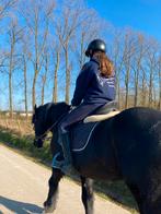 Lessen aangeboden met onze paarden, Dieren en Toebehoren