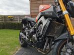 Yamaha MT-09, Particulier, Sport