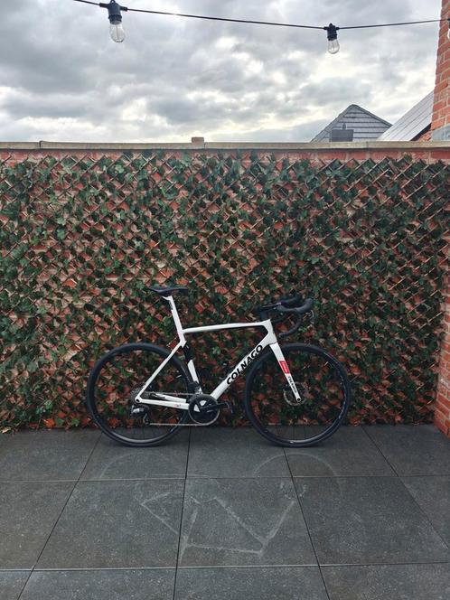 colnago, Fietsen en Brommers, Fietsen | Racefietsen, Nieuw, Meer dan 20 versnellingen, Carbon, 53 tot 57 cm, Ophalen
