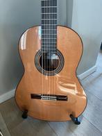 klassieke gitaar Paco Castillo, Ophalen, Zo goed als nieuw, Klassieke of Spaanse gitaar, Met koffer