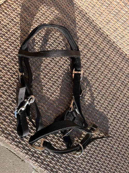 Halster/hoofdstel NIEUW, Dieren en Toebehoren, Paarden en Pony's | Hoofdstellen en Tuigage, Nieuw, Overige soorten, Ophalen of Verzenden
