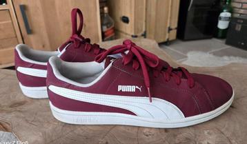 PUMA Sneakers (Size 10) beschikbaar voor biedingen