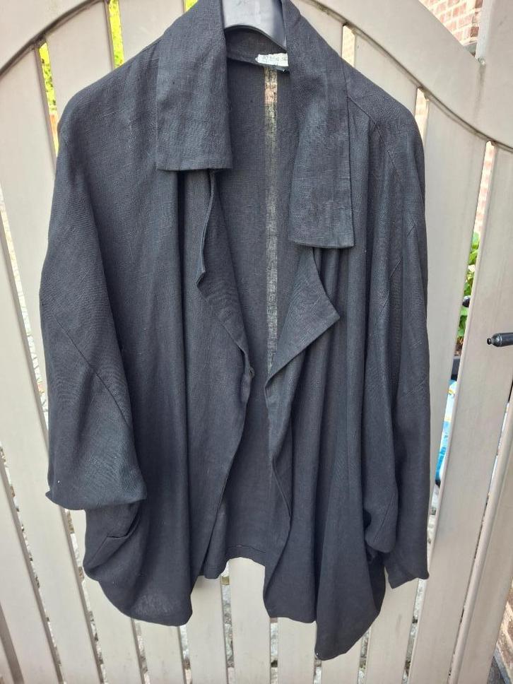 Dames kleding (grote maten), Kleding | Dames, Jassen | Zomer, Zo goed als nieuw, Overige kleuren, Ophalen