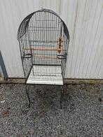 Kooi voor vogel/papegaaien, Dieren en Toebehoren, Vogels | Hokken en Kooien, Ophalen, Gebruikt