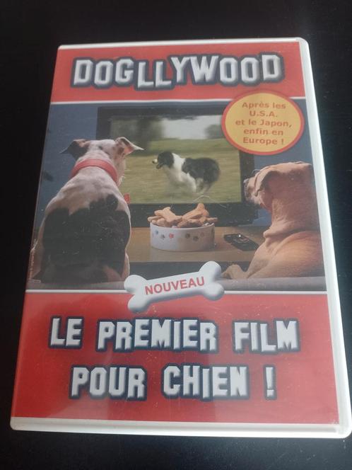 Te koop op dvd de eerste hondenfilm! Dogllywood, Cd's en Dvd's, Dvd's | Overige Dvd's, Zo goed als nieuw, Alle leeftijden, Ophalen of Verzenden