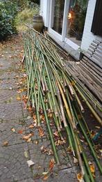 GRATIS Bamboe stokken ( 60 stuks - 6 m lang), Tuin en Terras, Ophalen