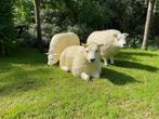 (Tuin)Beeld texel schaap, eye catcher tuin, boerderij, 75 cm, Ophalen, Nieuw, Kunststof, Dierenbeeld