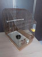 Cage pour oiseaux, Animaux & Accessoires, Enlèvement, Utilisé