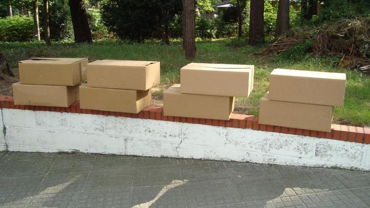 Dozen, Doe-het-zelf en Bouw, Kratten en Dozen, Gebruikt, Doos, Ophalen of Verzenden