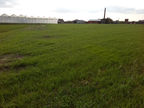 Ardooie, Te Huur in Seizoenpacht, tuinbouwgrond en 2 weiden, Zakelijke goederen, Landbouw | Onroerend goed, Tuinbouwbedrijf, 1 tot 5 ha