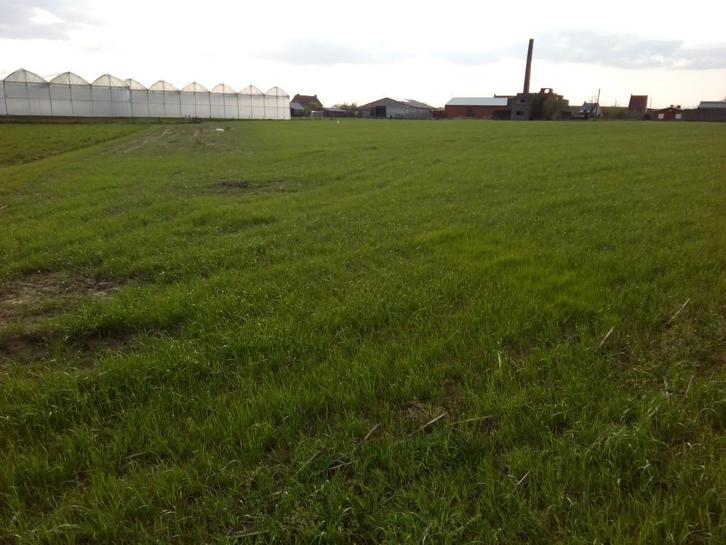 Ardooie, Te Huur in Seizoenpacht 2026, land/tuinbouwgrond, Zakelijke goederen, Landbouw | Onroerend goed, Tuinbouwbedrijf, 1 tot 5 ha