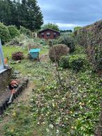 Tuinman - snoeiwerken - hovenier, Tuin en Terras, Planten | Bomen, Ophalen